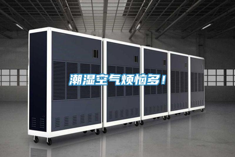 潮湿空气烦恼多！