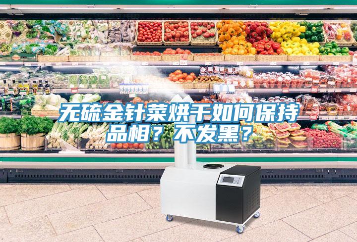 无硫金针菜烘干如何保持品相？不发黑？