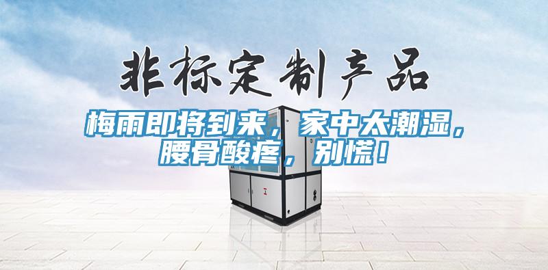 梅雨即将到来，家中太潮湿，腰骨酸疼，别慌！