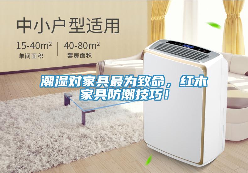 潮湿对家具最为致命，红木家具防潮技巧！
