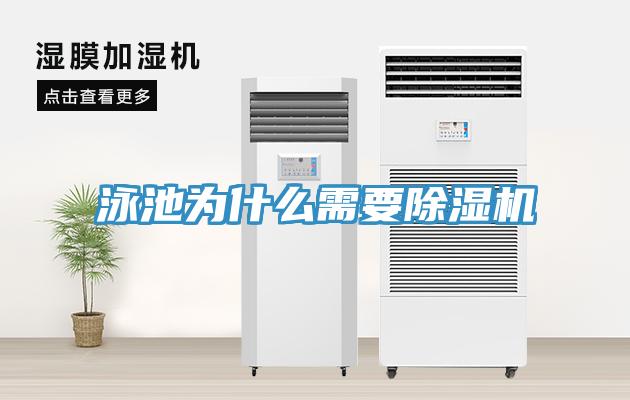 泳池为什么需要免费看操逼软件
