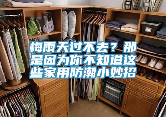 梅雨天过不去？那是因为你不知道这些家用防潮小妙招