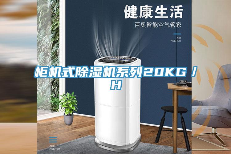 柜机式免费看操逼软件系列20KG／H