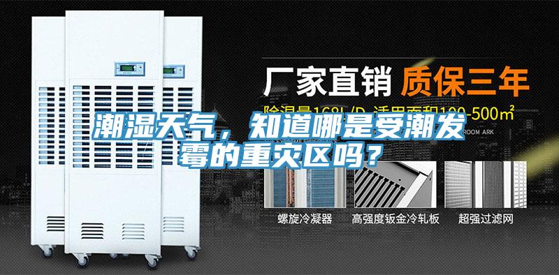 潮湿天气，知道哪是受潮发霉的重灾区吗？