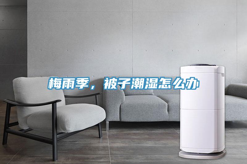 梅雨季，被子潮湿怎么办