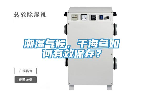 潮湿气候，干海参如何有效保存？