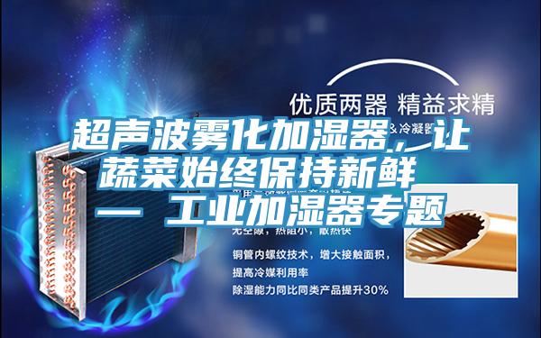 超声波雾化加湿器，让蔬菜始终保持新鲜 — 工业加湿器专题