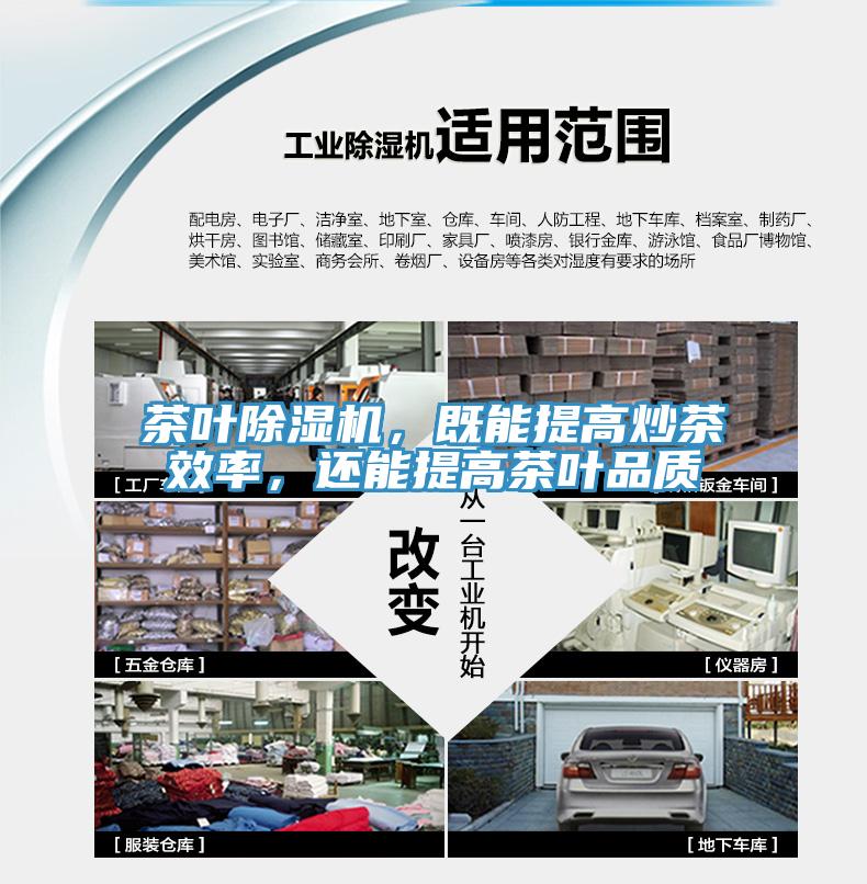 茶叶免费看操逼软件，既能提高炒茶效率，还能提高茶叶品质