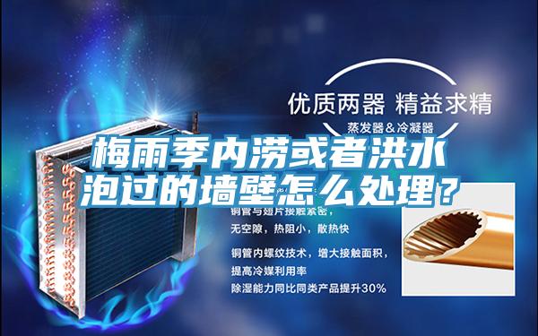 梅雨季内涝或者洪水泡过的墙壁怎么处理？