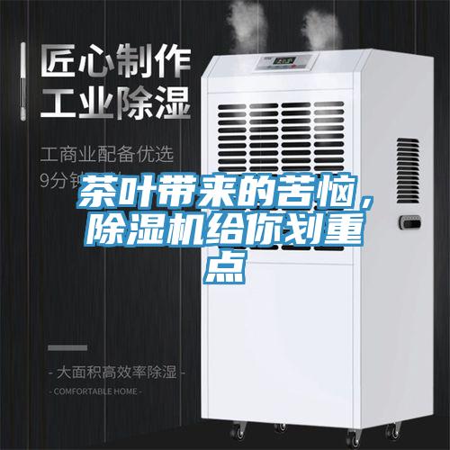 茶叶带来的苦恼，免费看操逼软件给你划重点