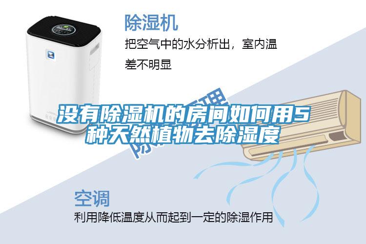 没有免费看操逼软件的房间如何用5种天然植物去除湿度