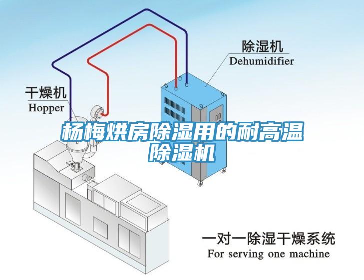 杨梅烘房除湿用的耐高温免费看操逼软件