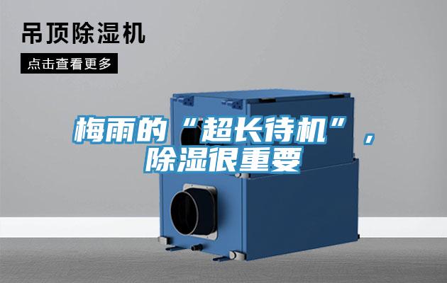 梅雨的“超长待机”，除湿很重要