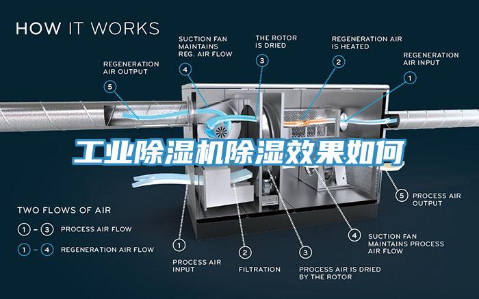工业免费看操逼软件除湿效果如何