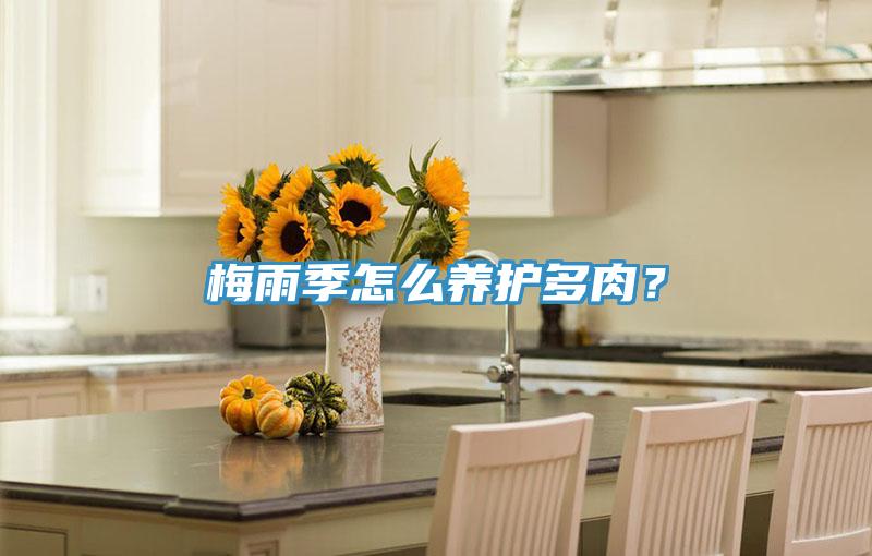 梅雨季怎么养护多肉？