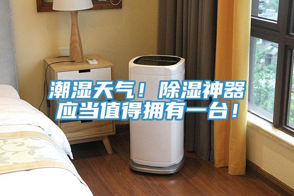 潮湿天气！除湿神器应当值得拥有一台！