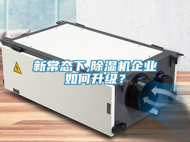 新常态下,免费看操逼软件企业如何升级？