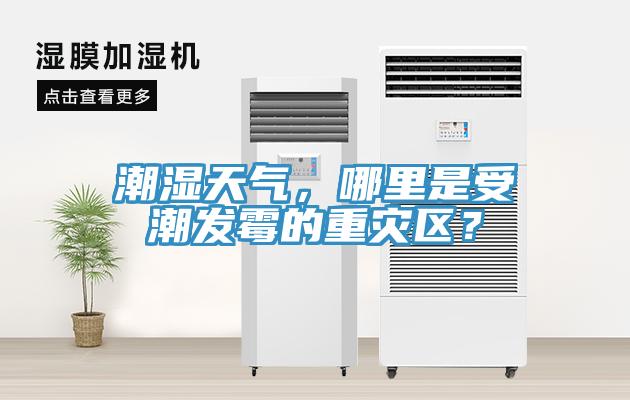 潮湿天气，哪里是受潮发霉的重灾区？