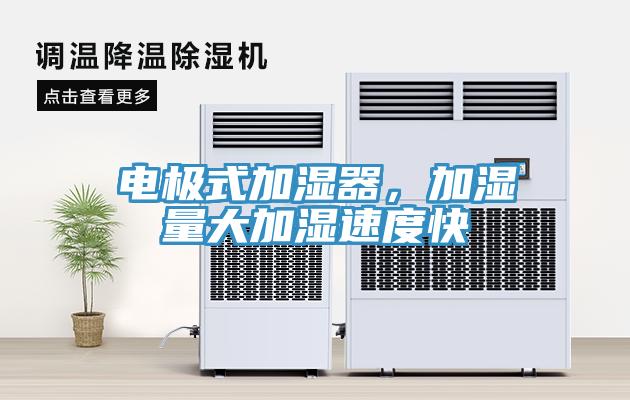 电极式加湿器，加湿量大加湿速度快