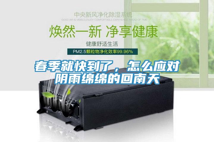 春季就快到了，怎么应对阴雨绵绵的回南天