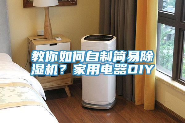 教你如何自制简易免费看操逼软件？家用电器DIY