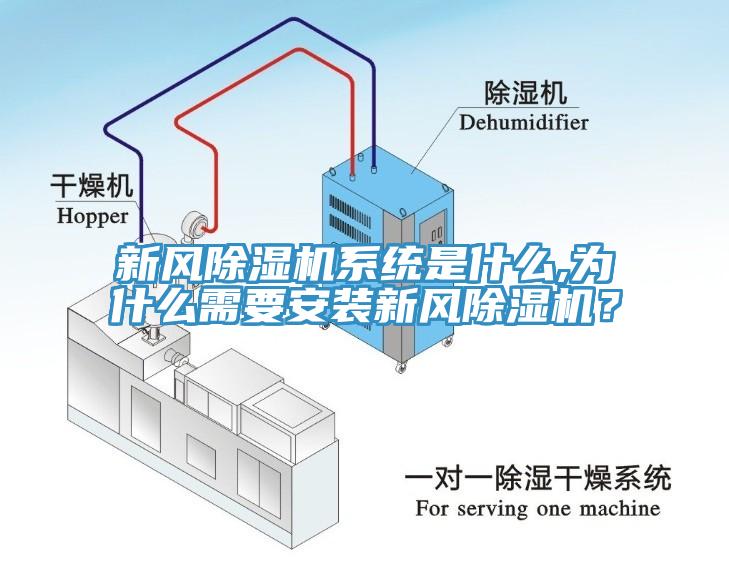 新风免费看操逼软件系统是什么,为什么需要安装新风免费看操逼软件？