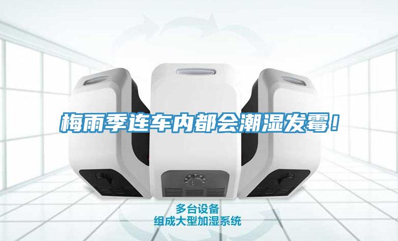 梅雨季连车内都会潮湿发霉！