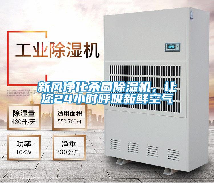 新风净化杀菌免费看操逼软件，让您24小时呼吸新鲜空气