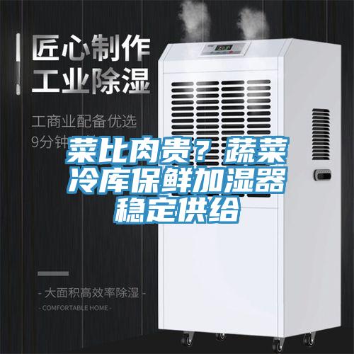 菜比肉贵？蔬菜冷库保鲜加湿器稳定供给