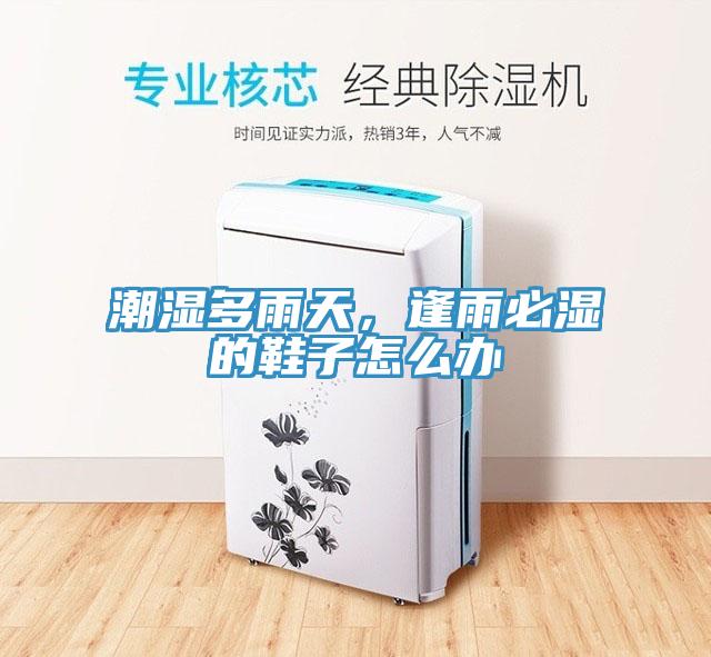 潮湿多雨天，逢雨必湿的鞋子怎么办