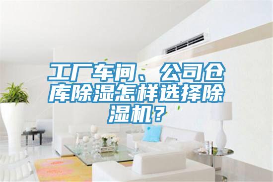 工厂车间、公司仓库除湿怎样选择免费看操逼软件？