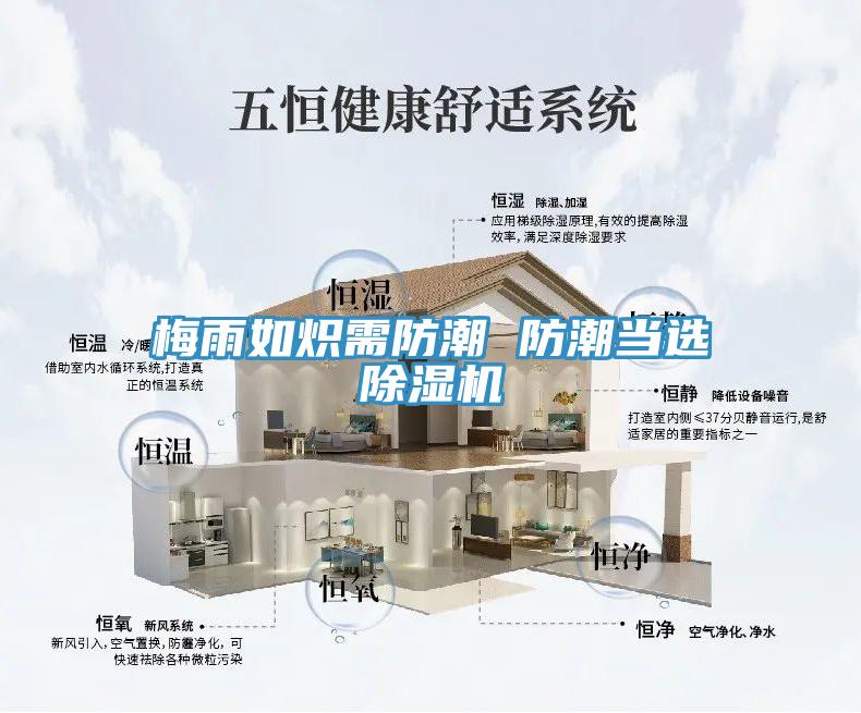 梅雨如炽需防潮 防潮当选免费看操逼软件