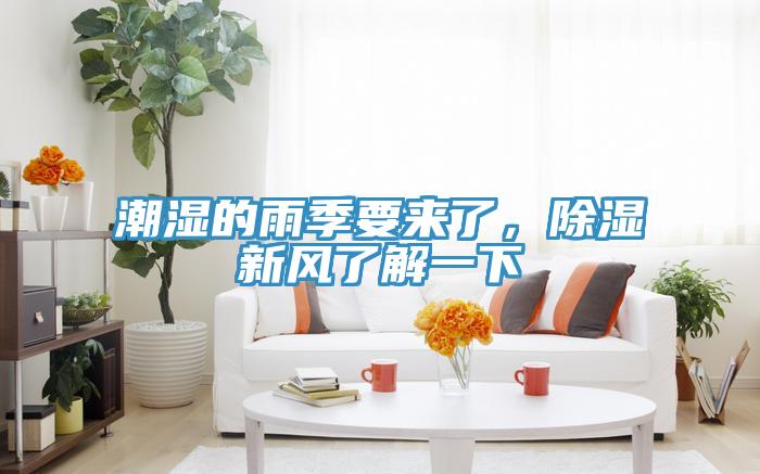 潮湿的雨季要来了，除湿新风了解一下