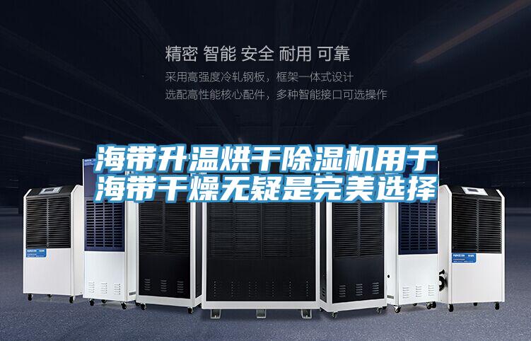 海带升温烘干免费看操逼软件用于海带干燥无疑是完美选择