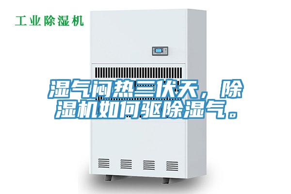 湿气闷热三伏天，免费看操逼软件如何驱除湿气。