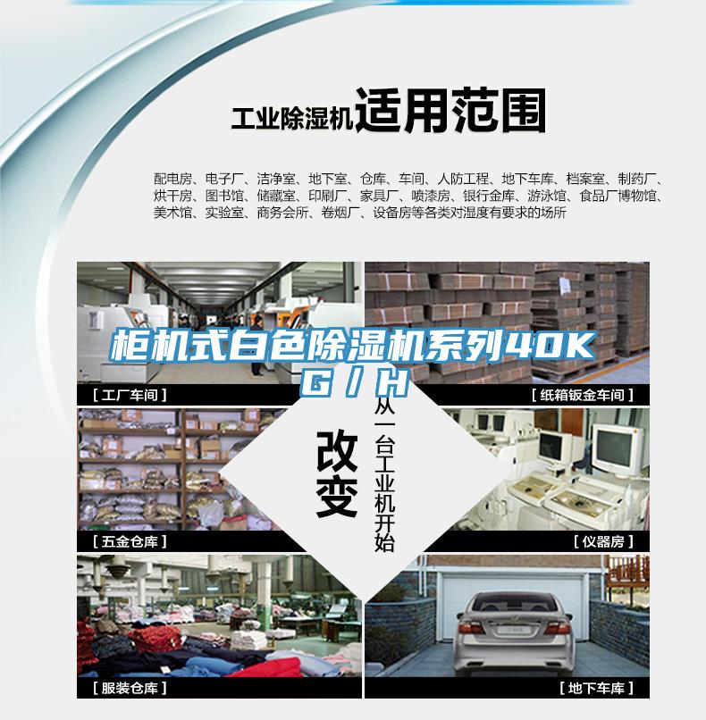 柜机式白色免费看操逼软件系列40KG／H