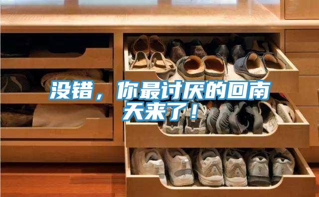没错，你最讨厌的回南天来了！