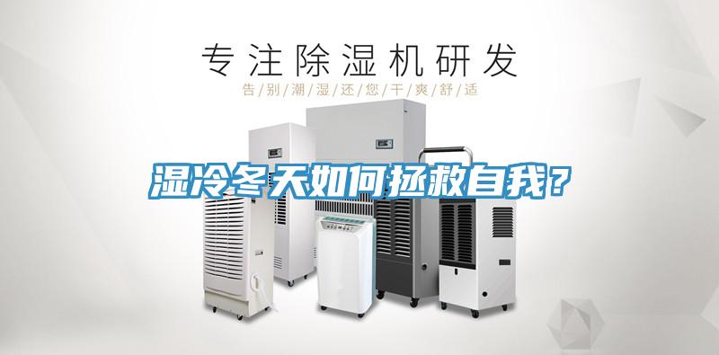 湿冷冬天如何拯救自我？