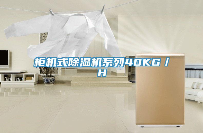 柜机式免费看操逼软件系列40KG／H
