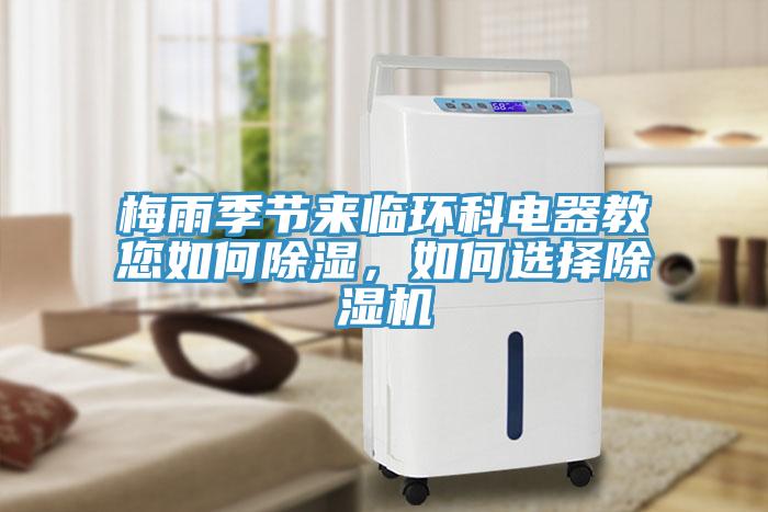 梅雨季节来临环科电器教您如何除湿，如何选择免费看操逼软件