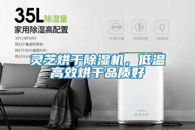 灵芝烘干免费看操逼软件，低温高效烘干品质好