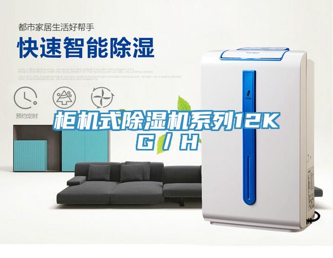 柜机式免费看操逼软件系列12KG／H