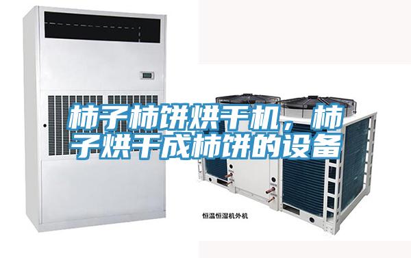 柿子柿饼烘干机，柿子烘干成柿饼的设备