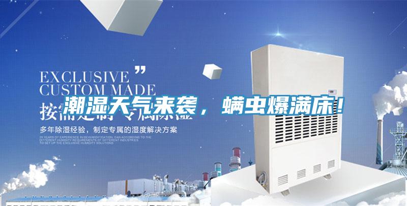 潮湿天气来袭，螨虫爆满床！