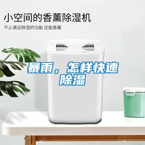 暴雨，怎样快速除湿