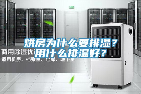 烘房为什么要排湿？用什么排湿好？