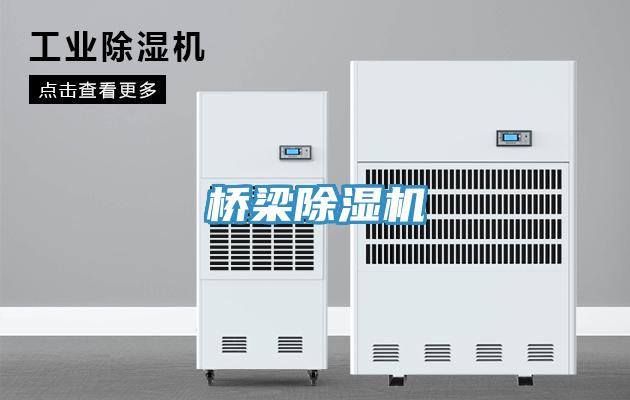 桥梁免费看操逼软件