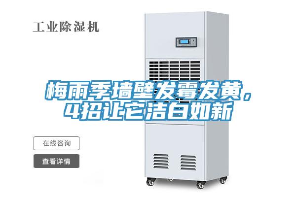 梅雨季墙壁发霉发黄，4招让它洁白如新