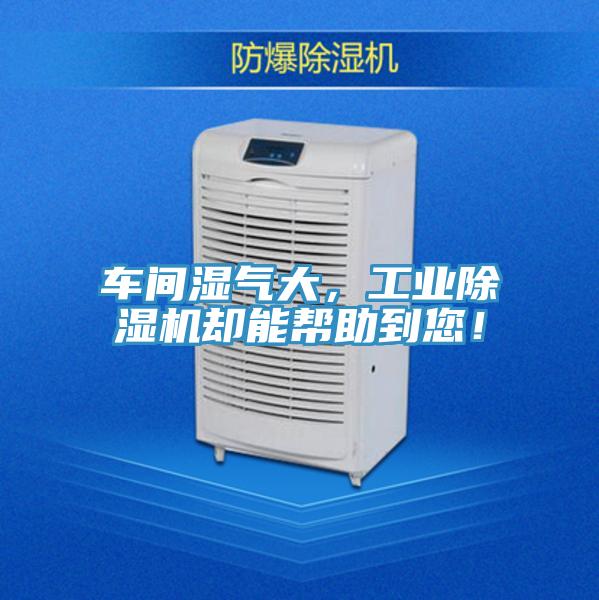 车间湿气大，工业免费看操逼软件却能帮助到您！