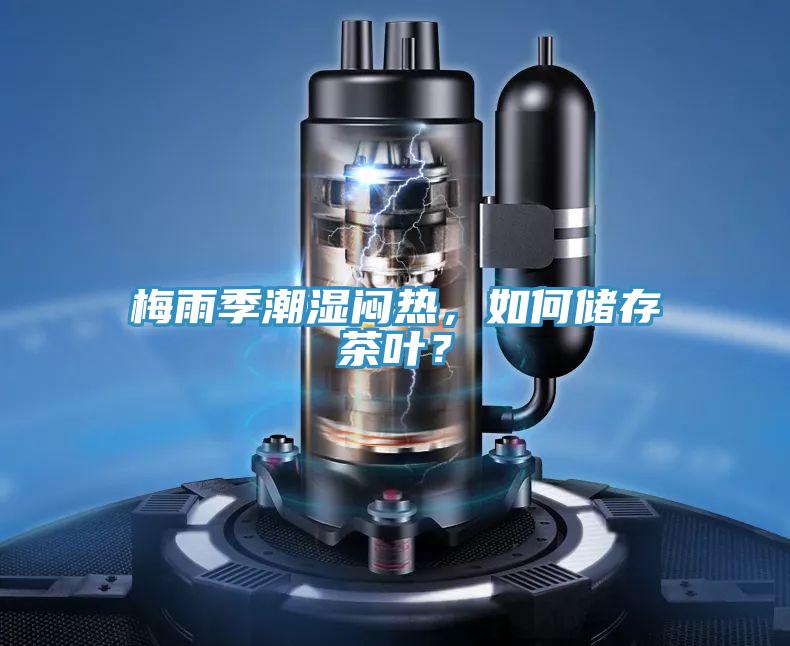 梅雨季潮湿闷热，如何储存茶叶？